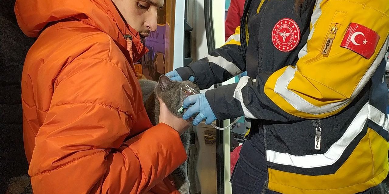 Dumanlar arasında kalan kedi, polis ekiplerince kurtarıldı