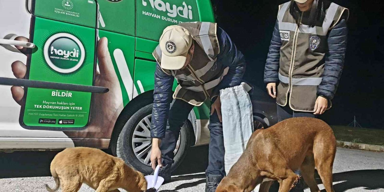 Uşak polisi sokak hayvanlarını unutmadı