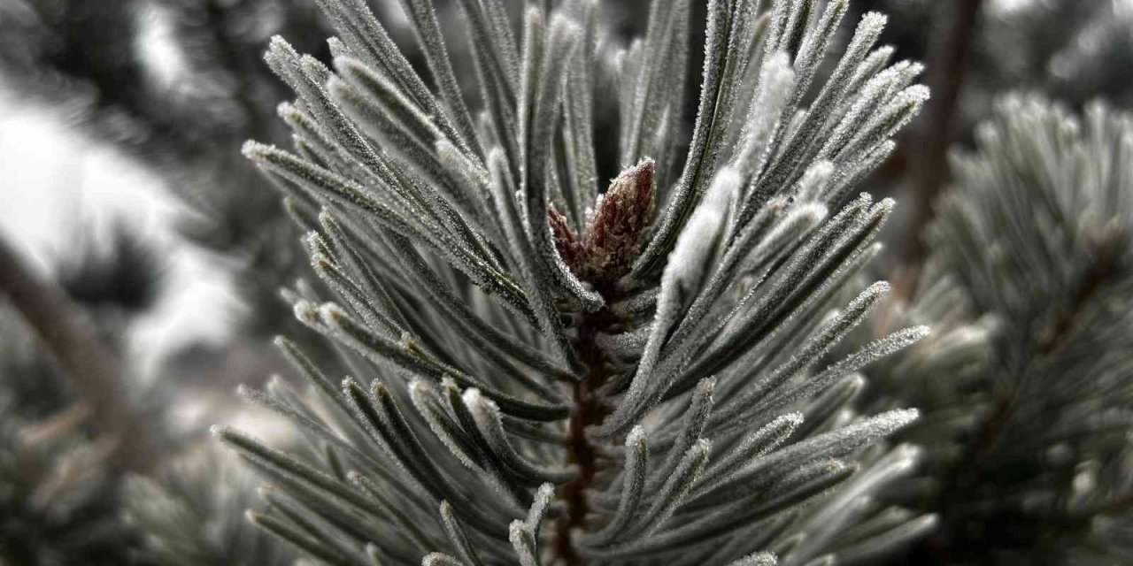 Erzurum buz kesti, hava sıcaklığı eksi 7’ye düştü