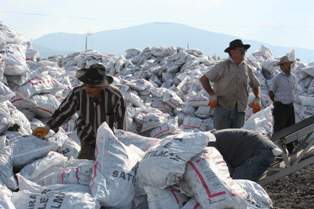 Ereğli'de 6 bin 500 aileye kömür yardımı