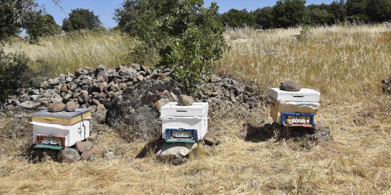 Yunusemre Belediyesi 2023 yılında da bal üreticilerini destekleyecek