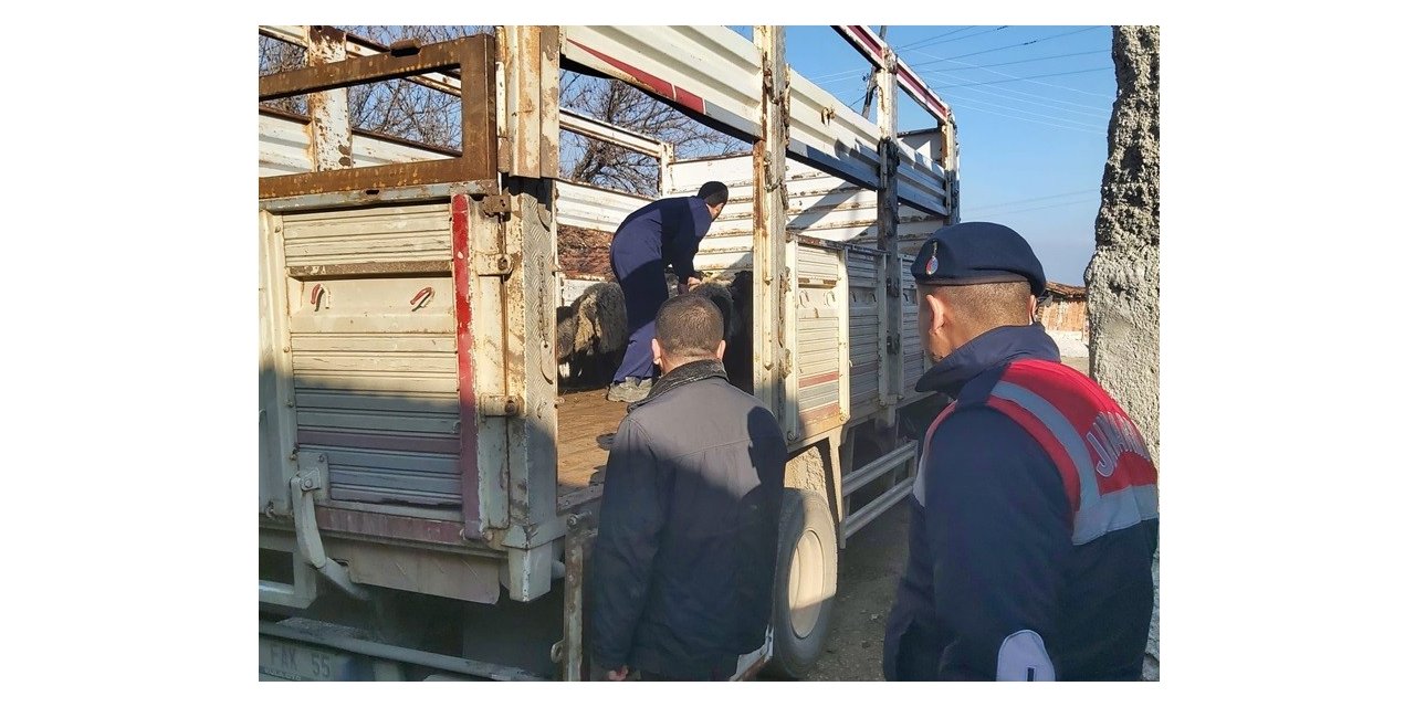 Bilecik’te sahte banka dekontla hayvan hırsızlığı yapan şahıs yakalandı