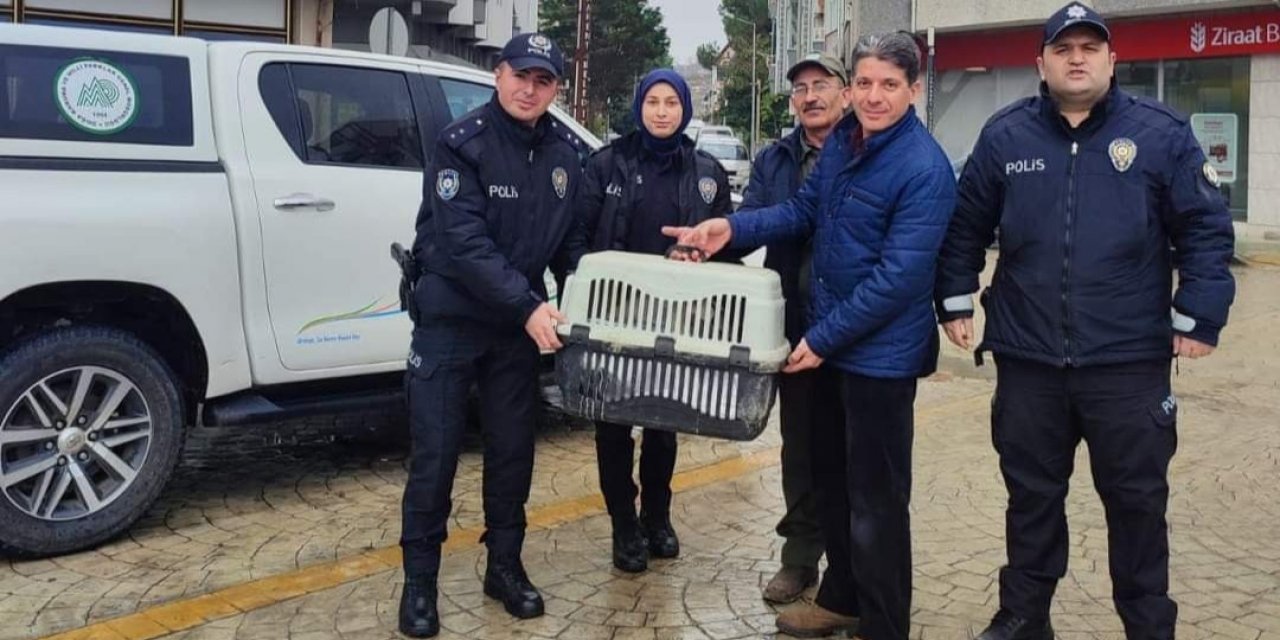 Yorgun düşen kuğunun imdadına polis yetişti