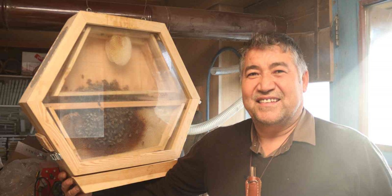 Arıları gözlemlemek için ‘Arıvaryum’ adında kovan dizayn etti