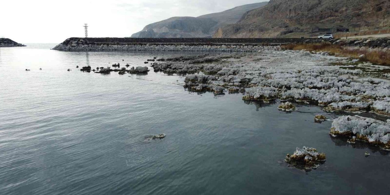 Sular çekilince mikrobiyalitler gün yüzüne çıktı, liman kullanılamaz hale geldi