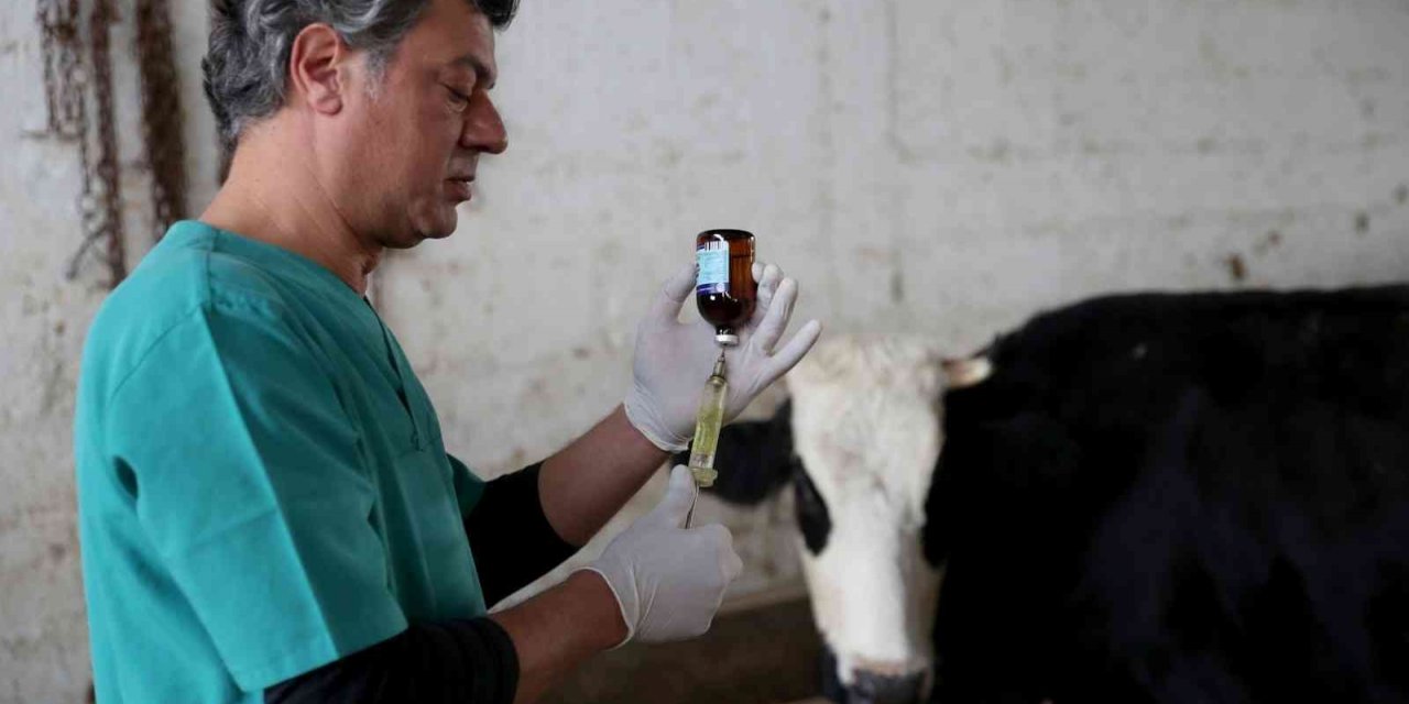 Seyhan Belediyesi’nden, üreticilere koruyucu hayvan sağlığı hizmeti