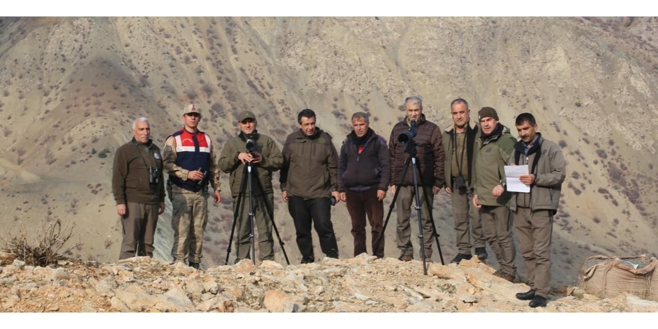 Elazığ’da yaban keçisi envanter çalışması yapıldı