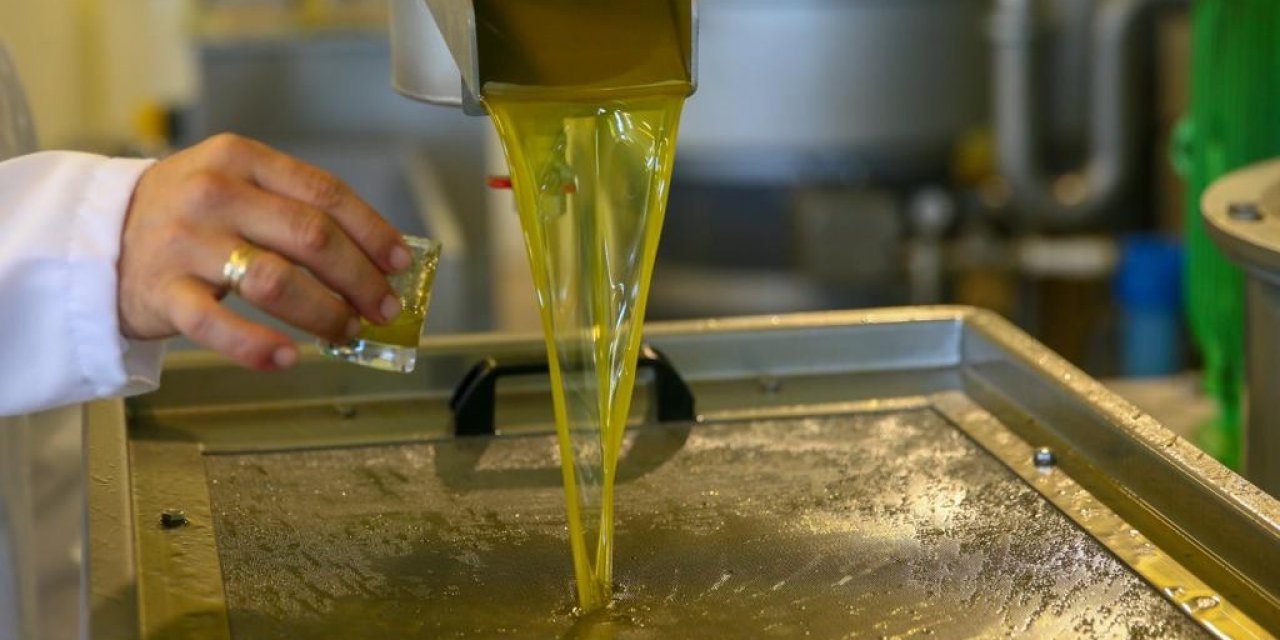 Yeni Şakran’ın aromatik zeytinyağları sofralardaki yerini alıyor