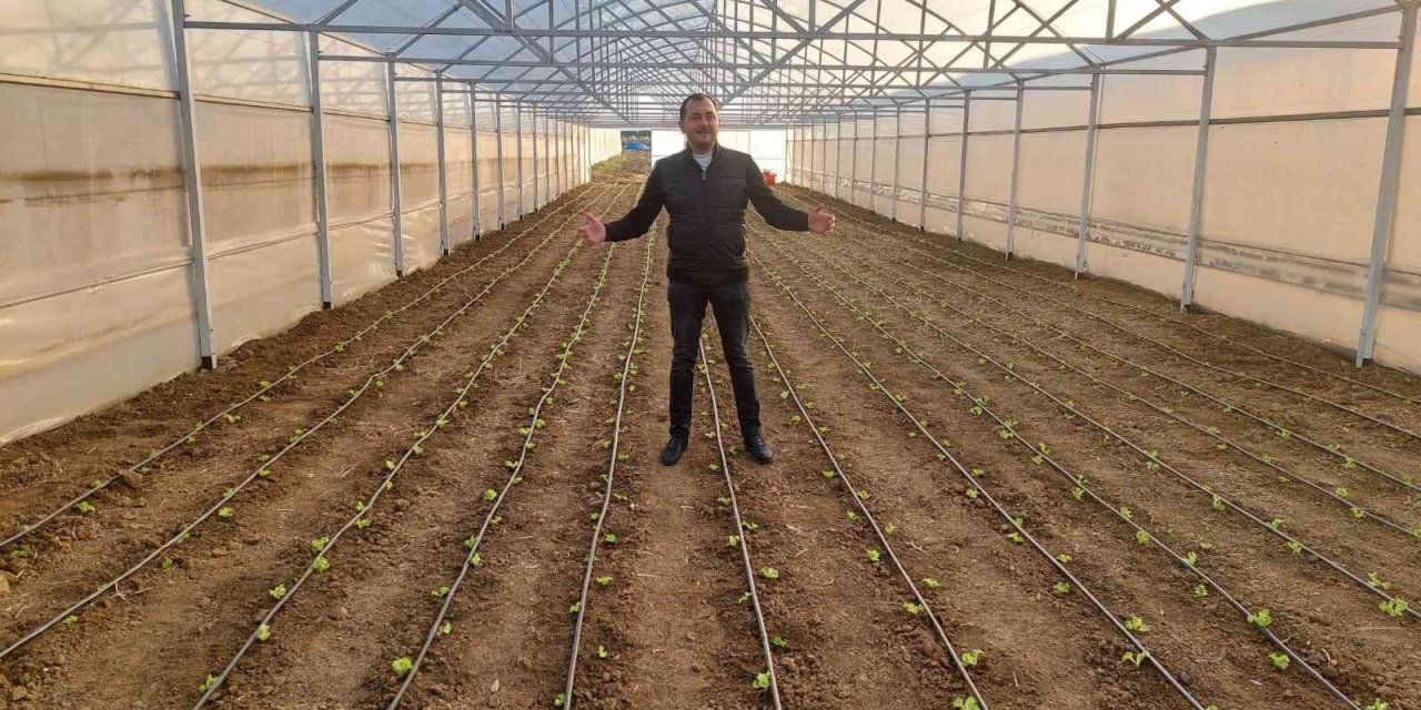 Tekirdağ seracılığında hedef İstanbul pazarı