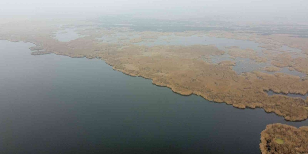 Eber Gölü’nden sevindiren görüntü