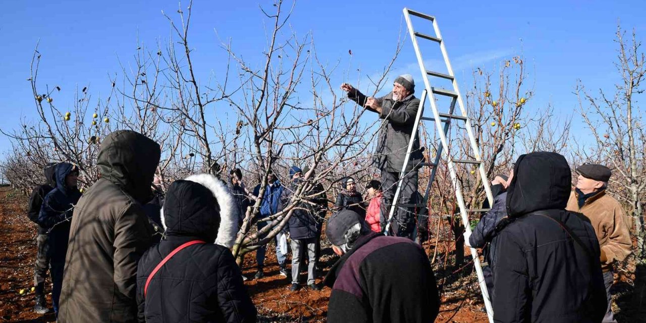 Üreticilere budama eğitimi verildi