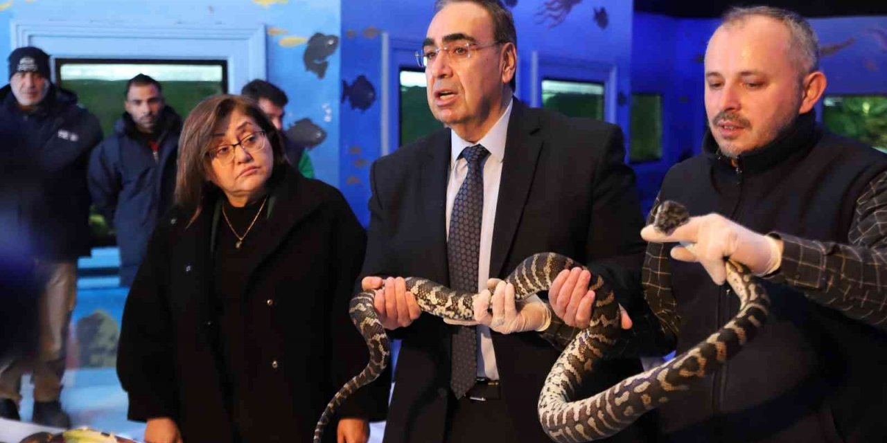 Kaçak yollarla yurda sokulan 108 hayvanın yeni yuvası Gaziantep oldu