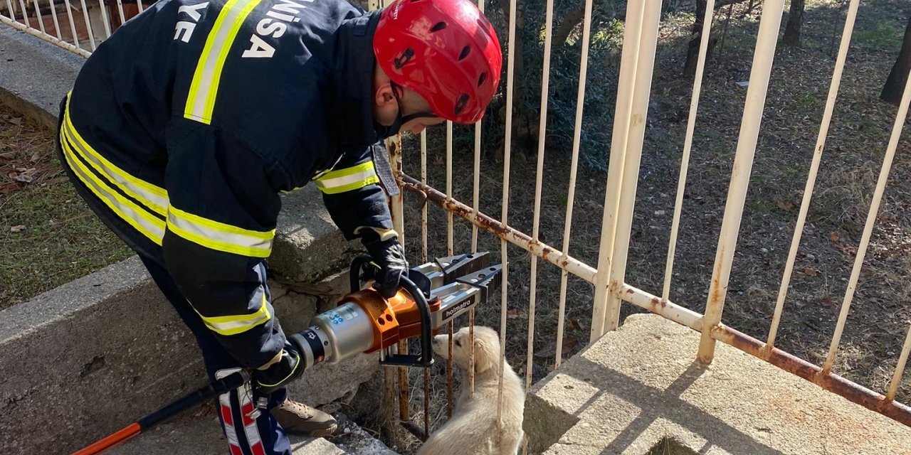 Bahçe demirlerine sıkışan köpeği itfaiye kurtardı