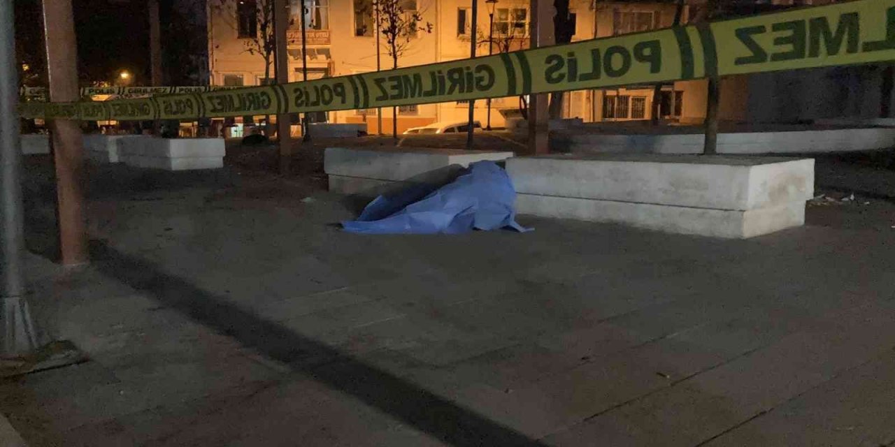 Parkta ölü bulundu