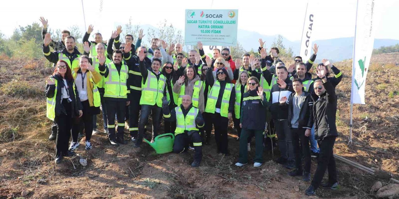 Geri dönüştürülen kağıtlardan 10 bin fidanlık orman oluşturuldu