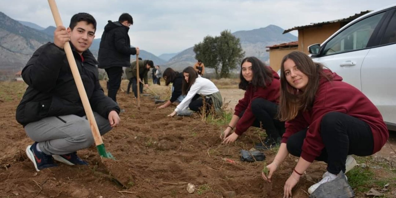 Lavantalar öğrencilerin ellerinden toprakla buluştu