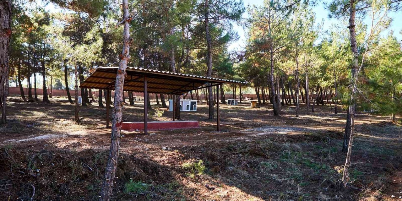 Gaziantep’te sokak hayvanlarına yaşam alanı