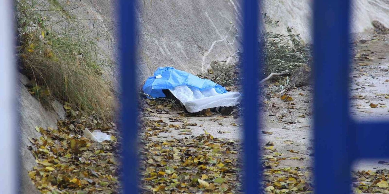 Zeytin toplamak için çıktığı ağaç sonu oldu