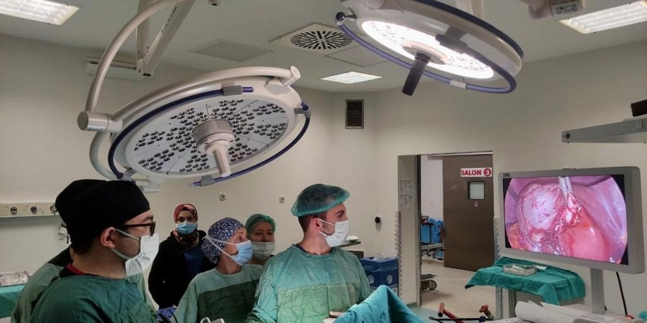 Şiddetli karın ağrısında safra kesesi taşına dikkat!