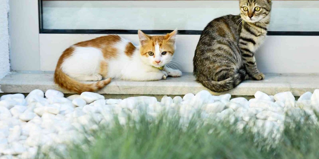 Engelsiz Çocuk Gündüz Bakımevi’ne kayıtlar devam ediyor