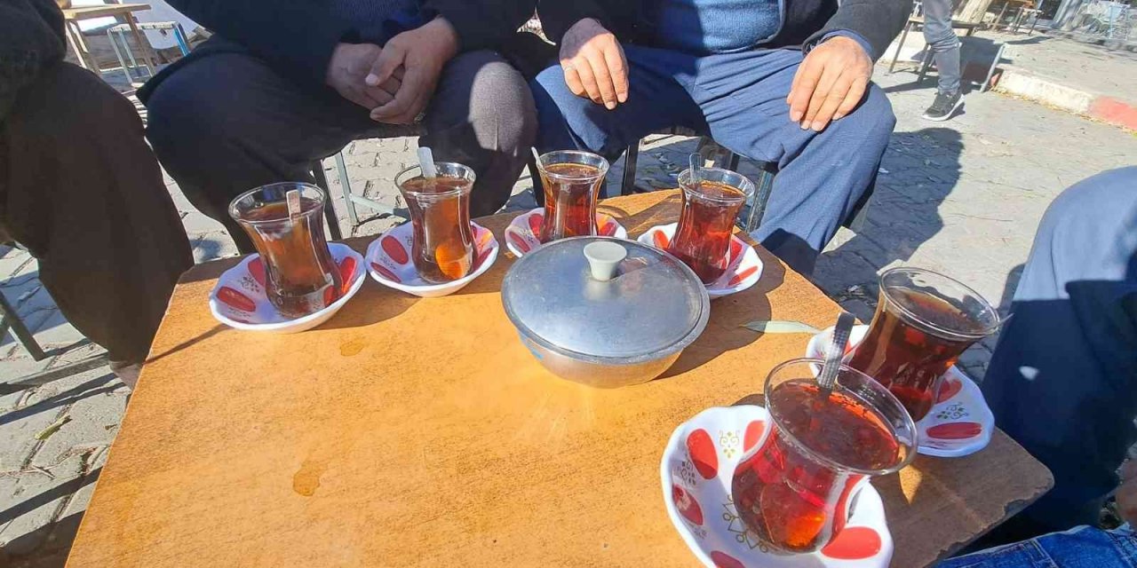 Adilcevaz’da yalancı bahar