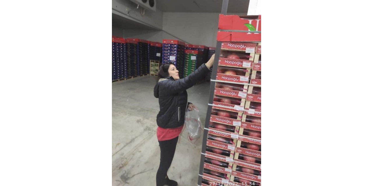 Sebze meyve ihracatı yapan firmalardan ihracat numunesi alındı