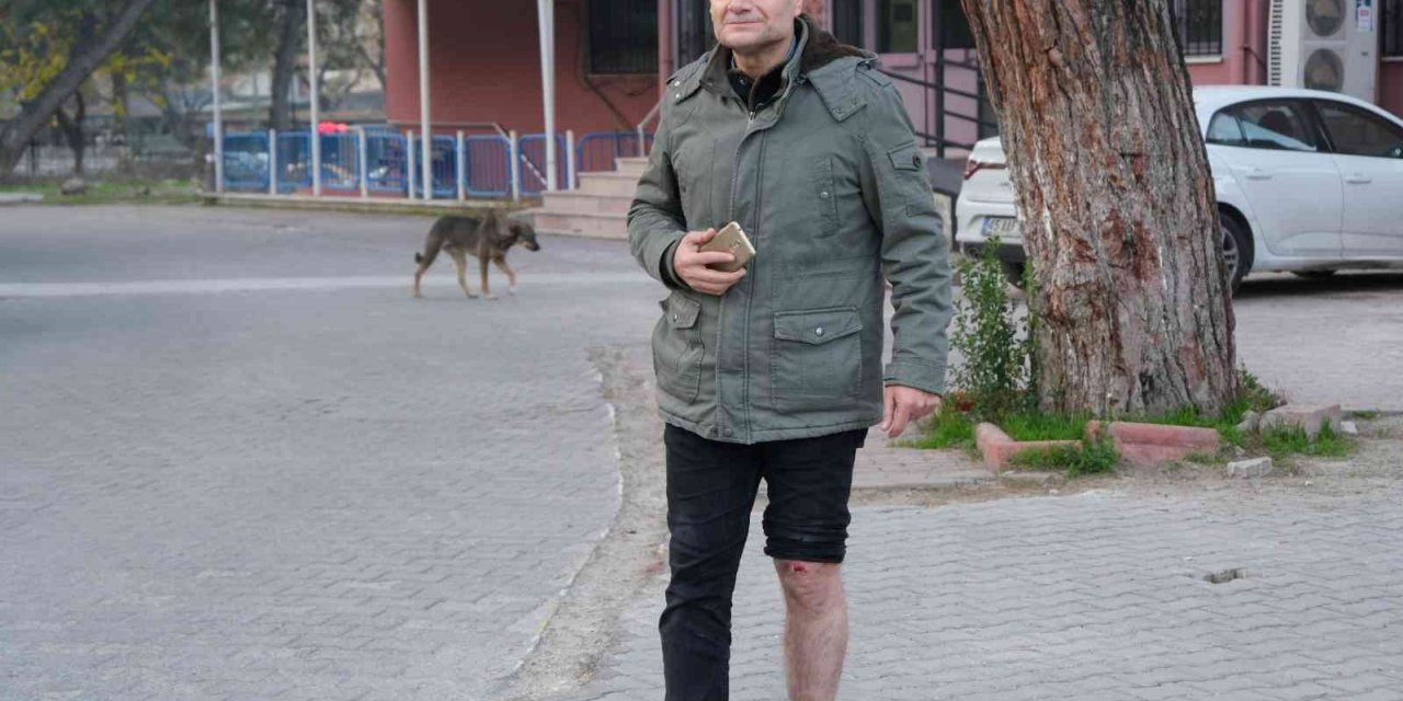 Köpeklerin saldırısına uğrayan bir kişi düşerek yaralandı