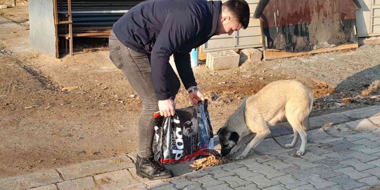 Hayvan dostu belediye, sokak hayvanlarının mama ve suyunu eksik etmiyor