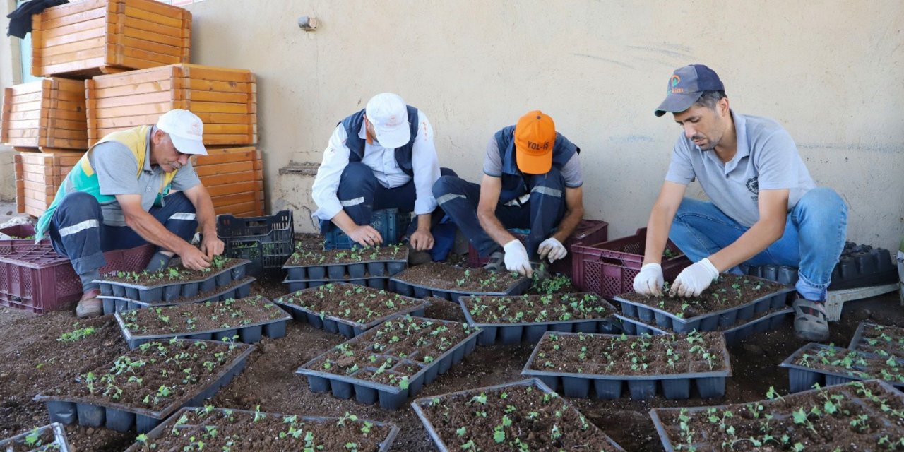 Diyarbakır 2022’de 3 milyon 384 bin mevsimlik çiçekle süslendi