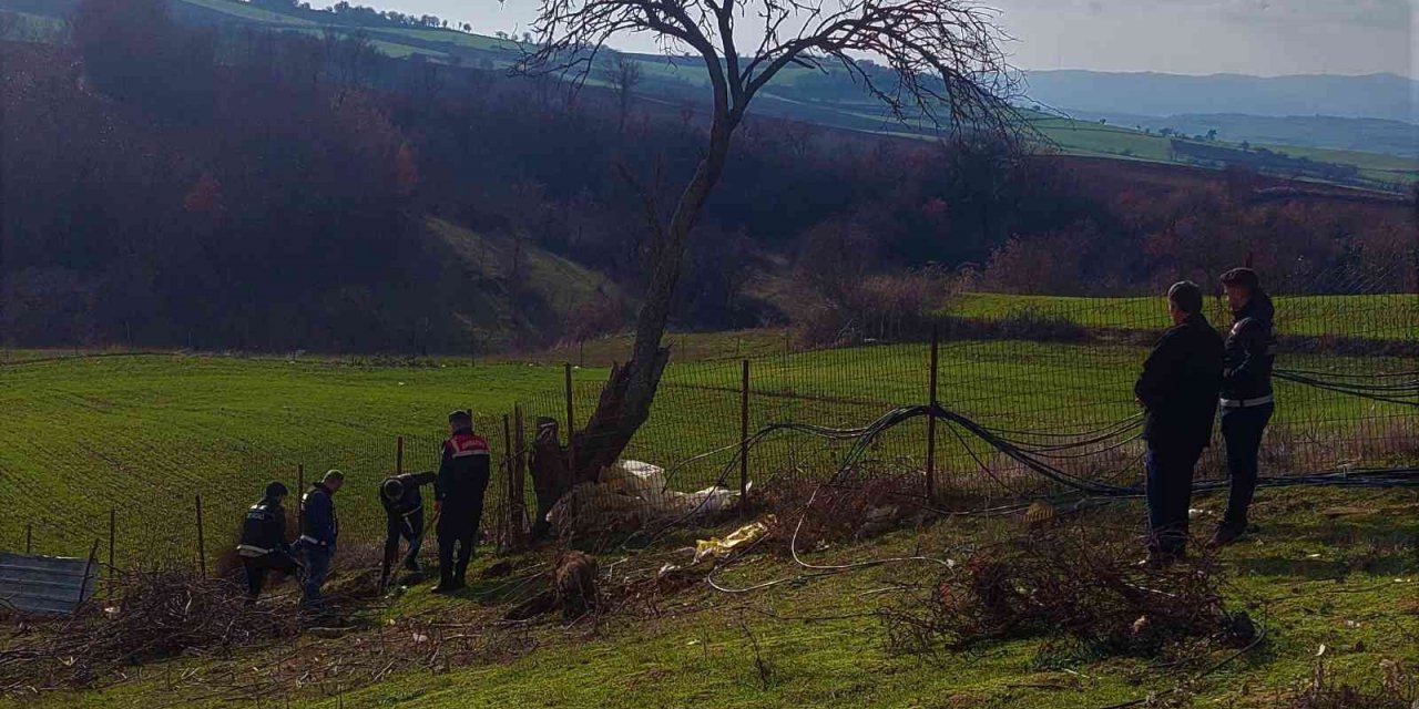 Köyü esrar tarlasına çeviren zanlı tutuklandı
