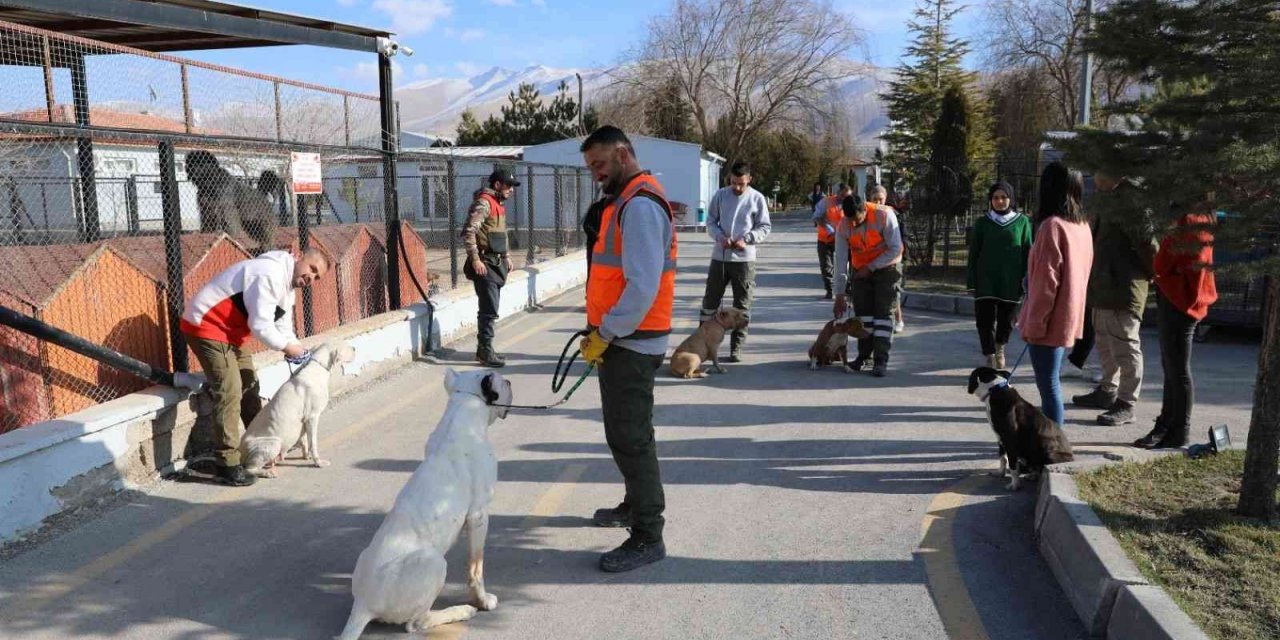 Niğde’de tehlikeli köpeklere uyum eğitimi veriliyor