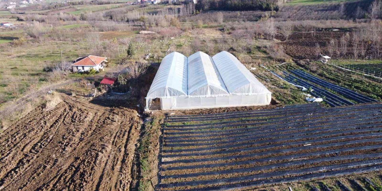Tekkeköy’den çiftçiye sera desteği
