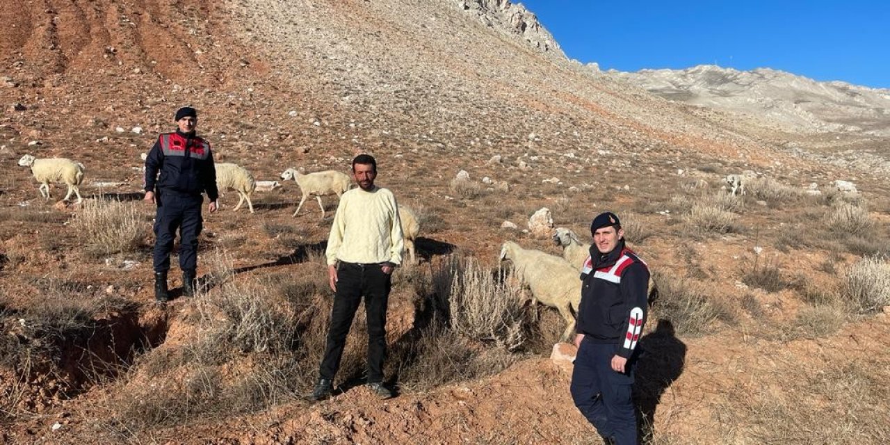 Kayıp Koyunlar Bulundu