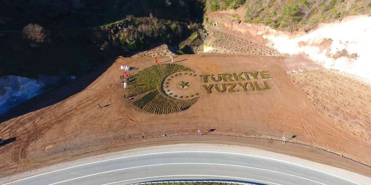Artvin’de 36 bin fidanla “Türkiye Yüzyılı” logosu işlendi