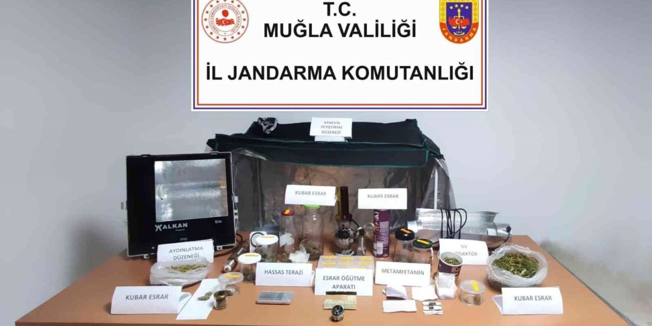 Bodrum’da Jandarmadan uyuşturucu operasyonu