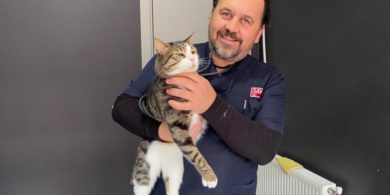 Çip uygulaması birçok fayda sağlayacak