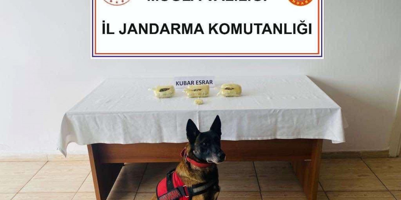 Bodrum’da Jandarma ekipleri uyuşturucuya geçit vermedi