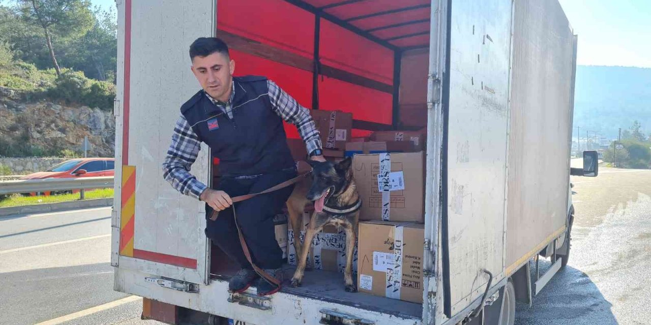 24 saatte 15 bin araç girdi