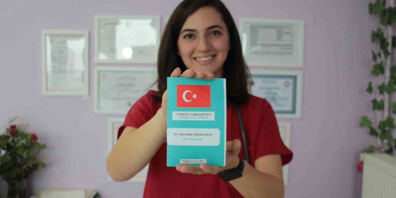 Evcil hayvanlara çip zorunluluğunda son gün yoğunluğu