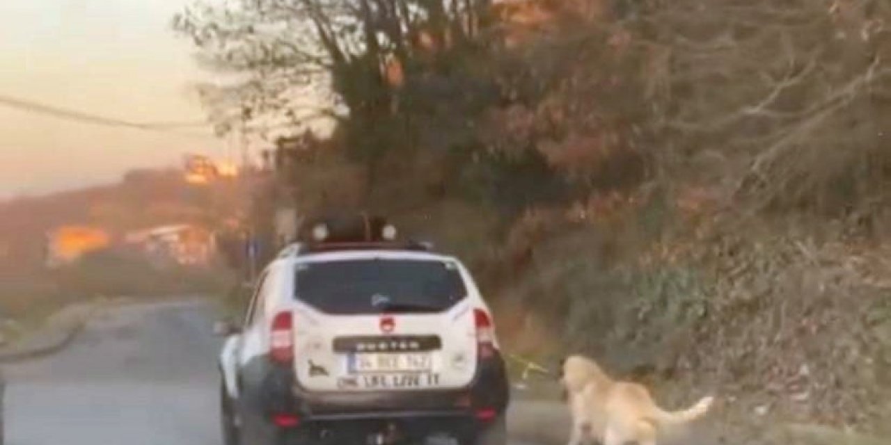 Boğazına ip bağladığı köpeği metrelerce sürükledi