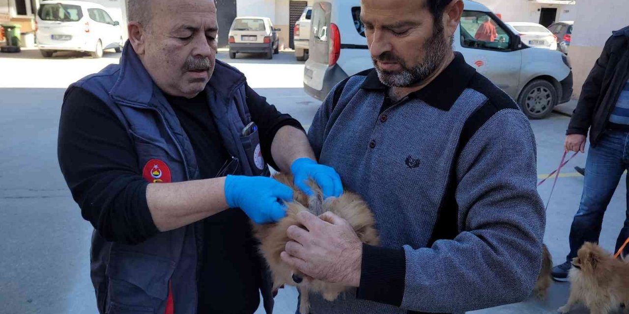 Efeler’de 3 bin evcil hayvan çiplendi
