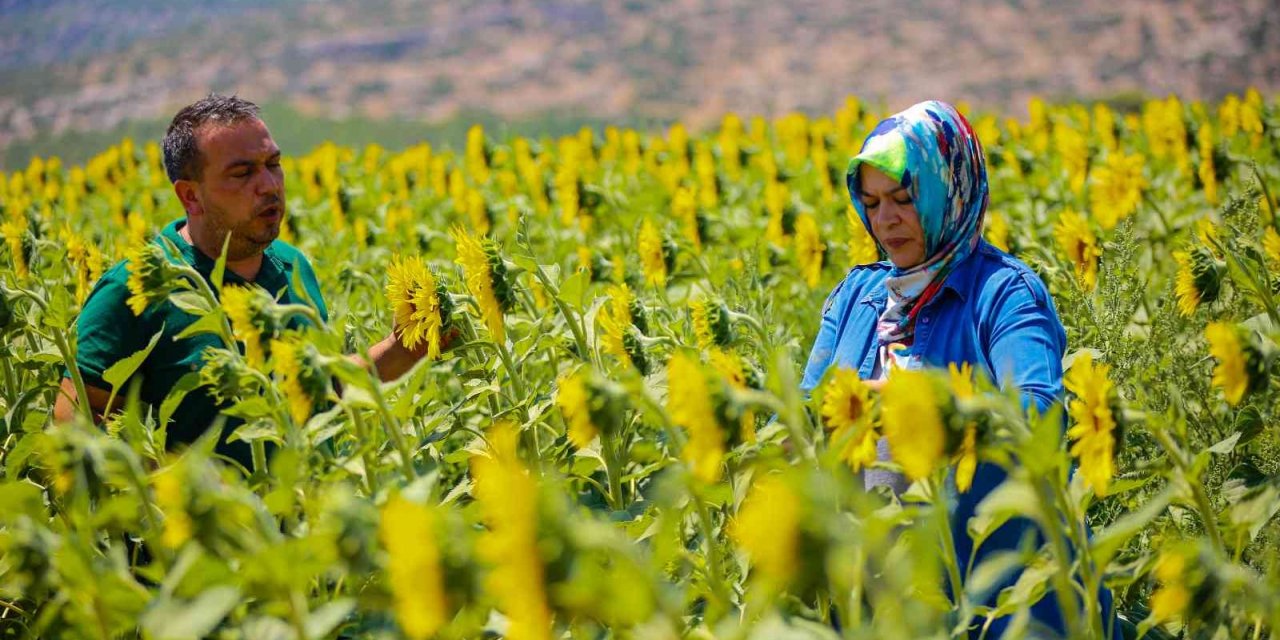 Antalya tarımına geçen yıl 143 milyonluk destek sağlandı