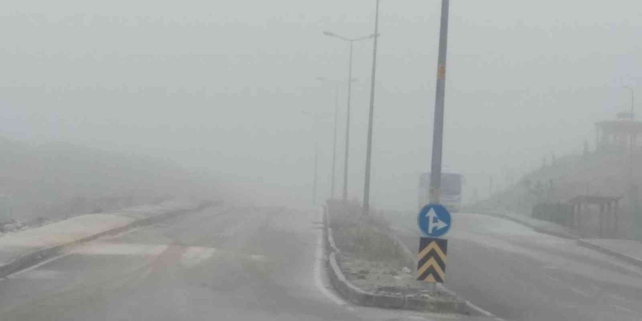 Elazığ’da sis etkili oldu