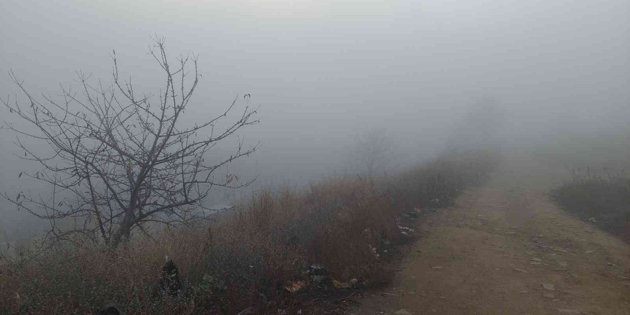 Marmara’da sis etkili oldu