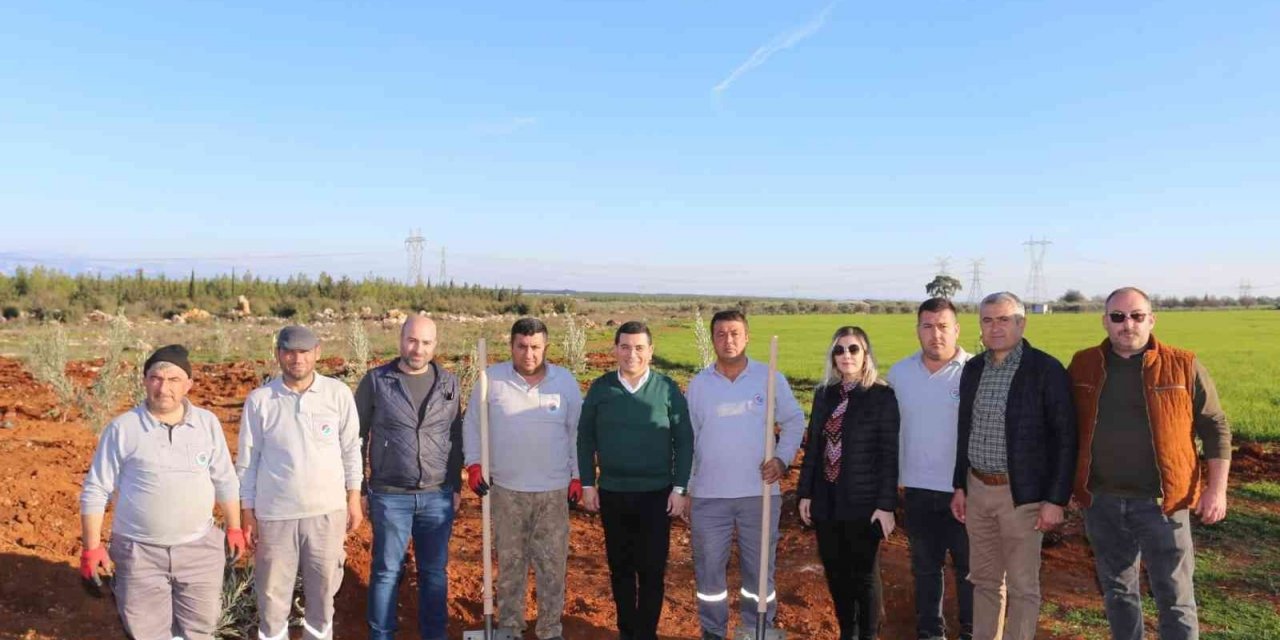 Zeytin Çiftliğinden elde edilecek gelirin tamamı 35 bin öğrenciye burs olacak