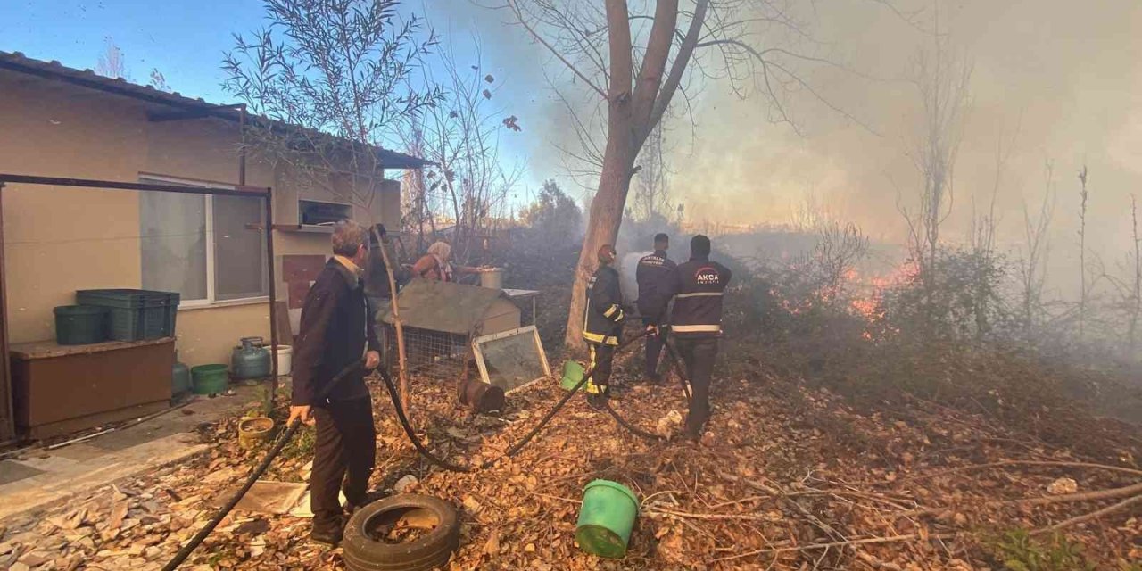 Antalya’da evleri tehdit eden sazlık yangını