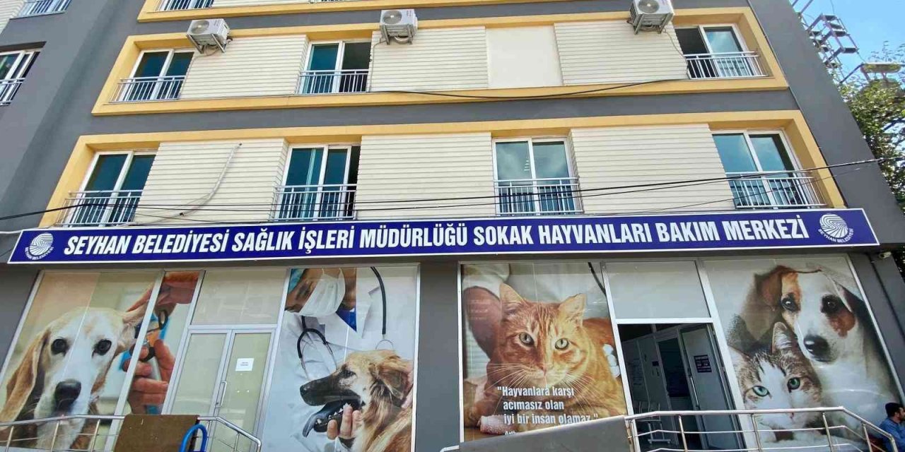 Seyhan’da bin 236 sokak kedisini ücretsiz olarak kısırlaştırdı