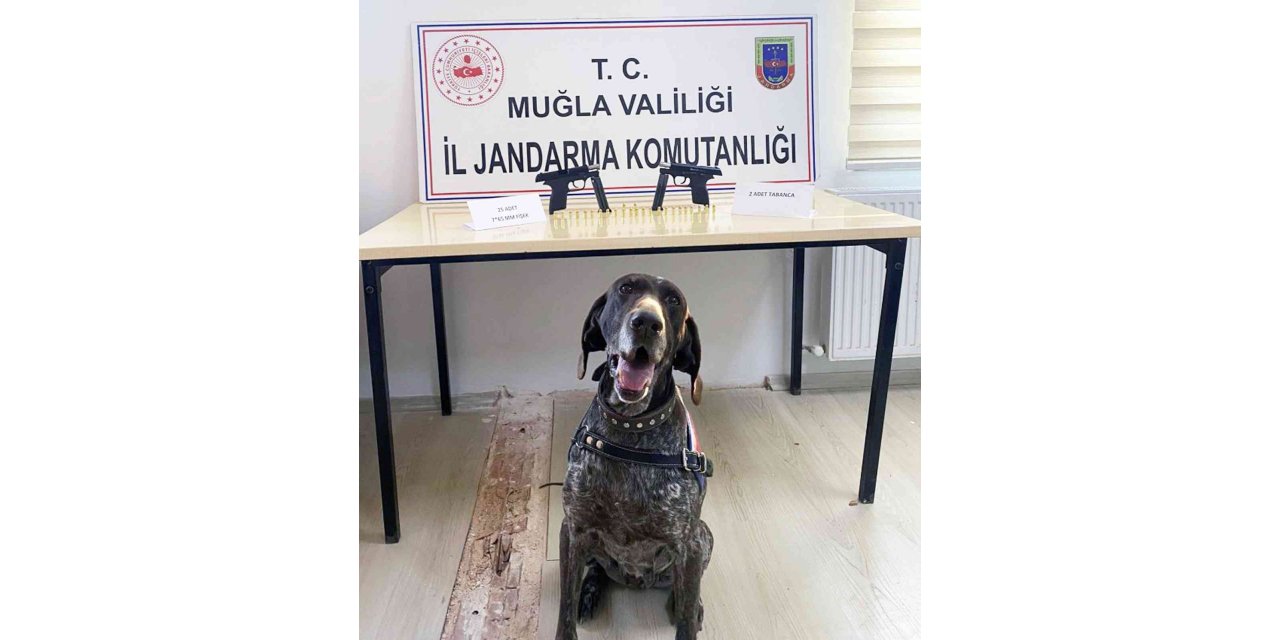 Uygulamada kurusıkıdan bozma 2 tabanca ele geçirildi
