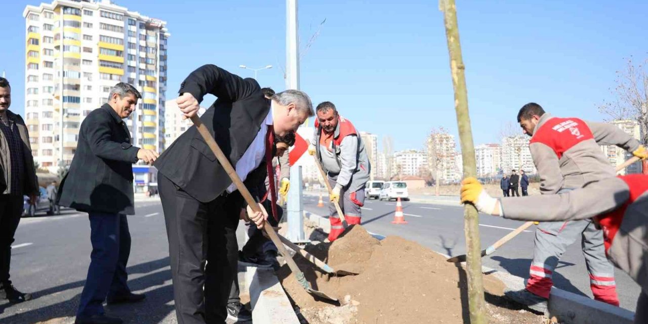 Melikgazi ilçeyi devasa ağaçlarla yeşillendirmeye devam ediyor