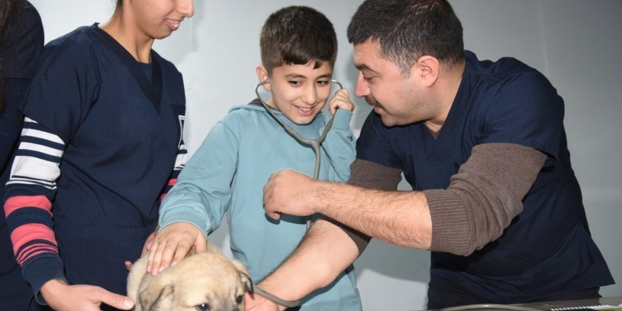 Öğrenciler, yavru köpeklerin kalp atışlarını dinledi